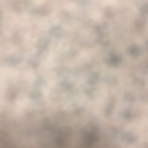 Meet your Posher, Isabelle